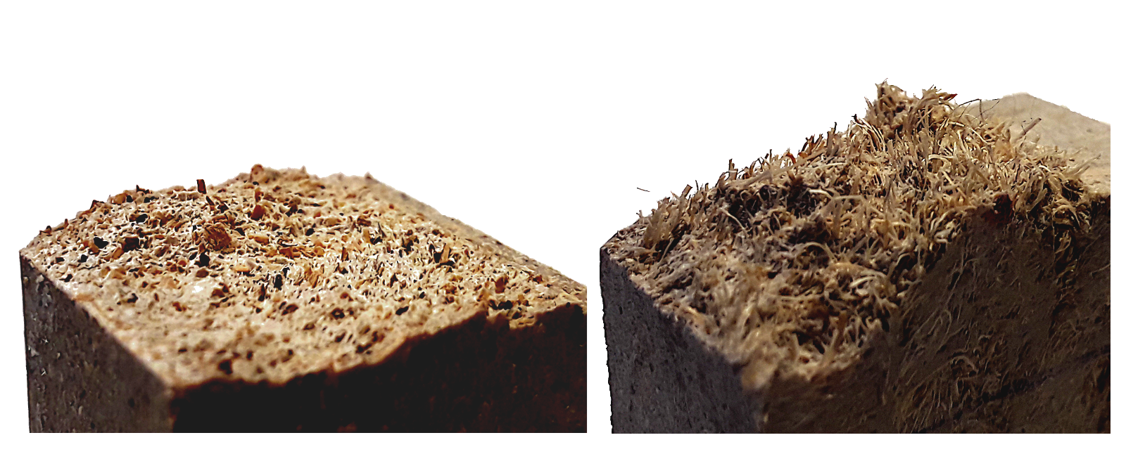 Styrofoam An image of biocomposites